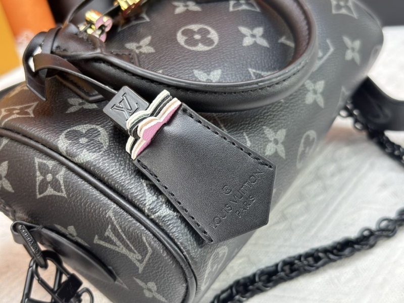 LV Speedy Bags